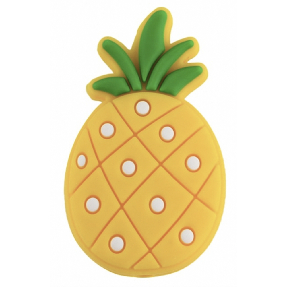 Embouts d'aiguilles - ananas