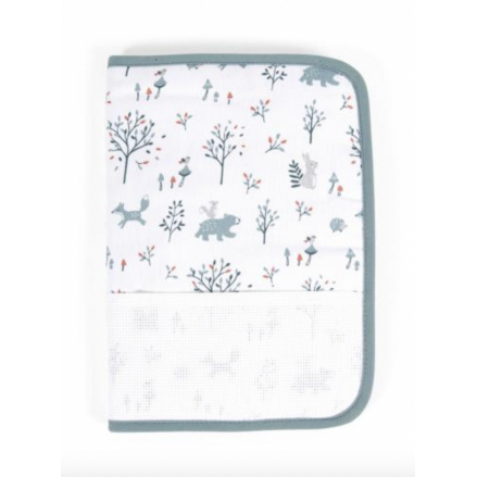 PROTEGE CARNET DE SANTE FORET ENCHANTEE - DMC