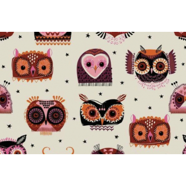 Tissu Dashwood - Witching Hour (hibou)