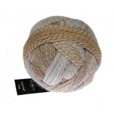 Zauberball Crazy - Schoppel Wolle