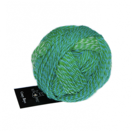 Crazy Boys - Schoppel Yarn