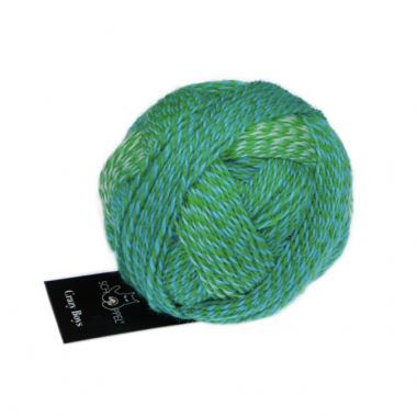 Crazy Boys - Schoppel Yarn