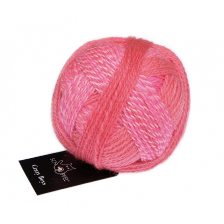 Crazy Boys - Schoppel Yarn