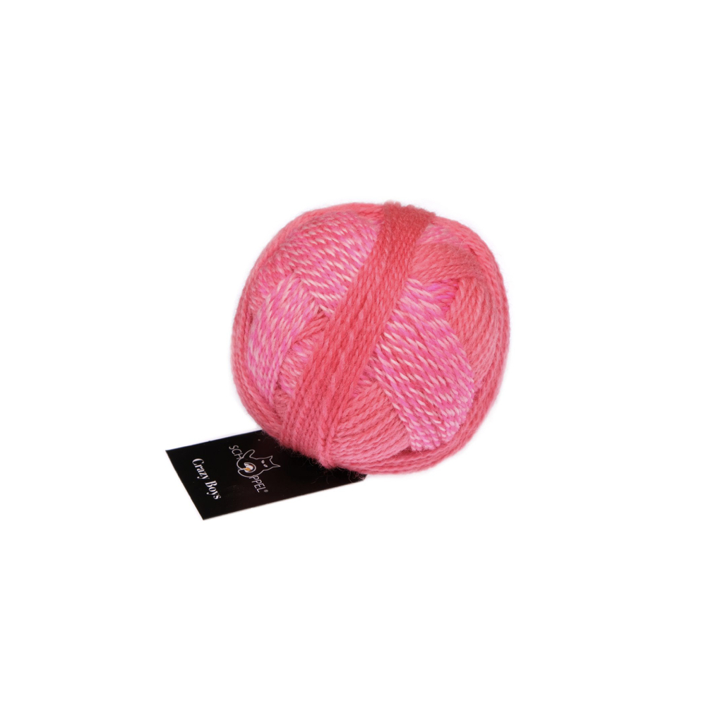 Crazy Boys - Schoppel Yarn Crazy Boys - Schoppel Yarn