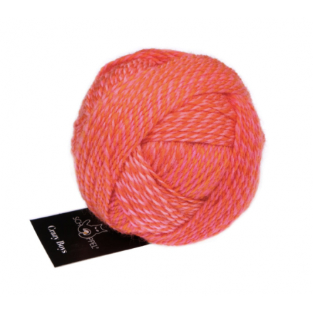 Crazy Boys - Schoppel Yarns