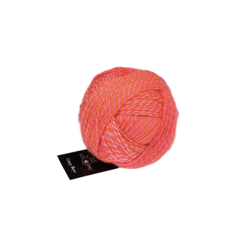 Crazy Boys - Schoppel Yarns
